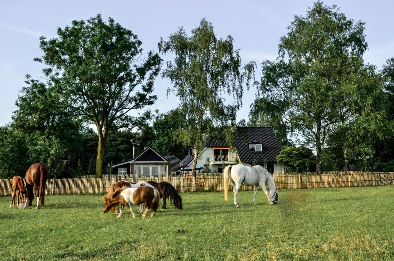 Bed & Breakfast De Zandhoef Eersel Exteriér fotografie