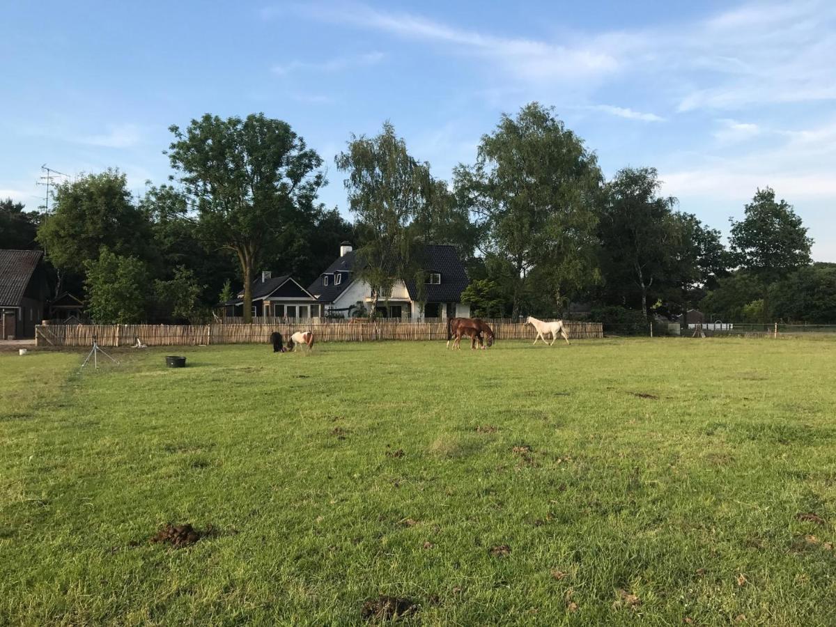 Bed & Breakfast De Zandhoef Eersel Exteriér fotografie